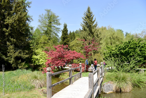 fioritura tulipani arboretum lubiana