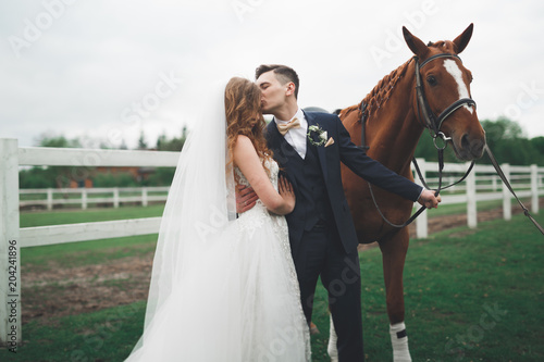 Bride and groom in forest with horses. Wedding couple. Beautiful portrait in nature