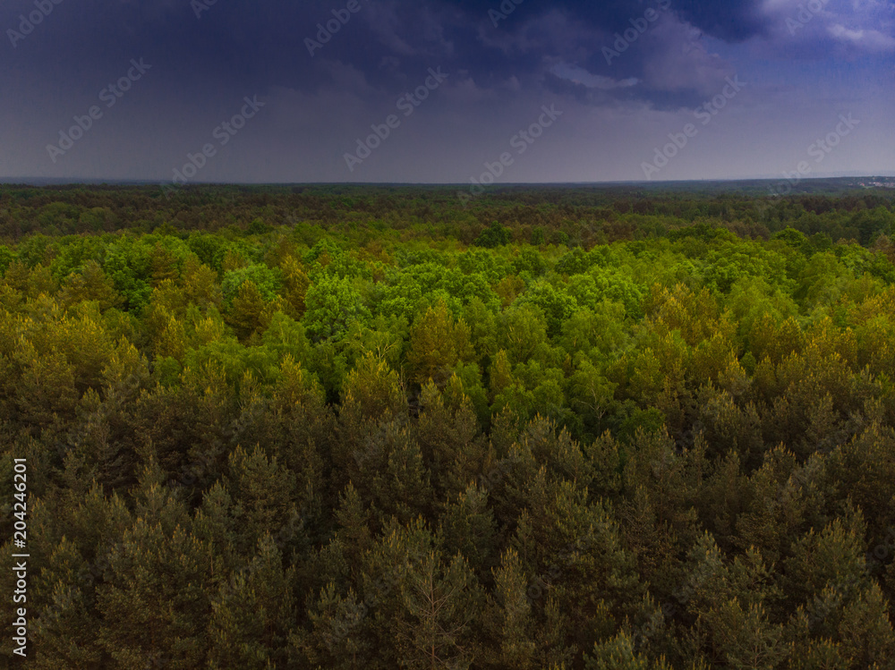 Thunderstorm over wild forest at spring,aerial drone Thunderstorm over wild forest at spring,aerial drone