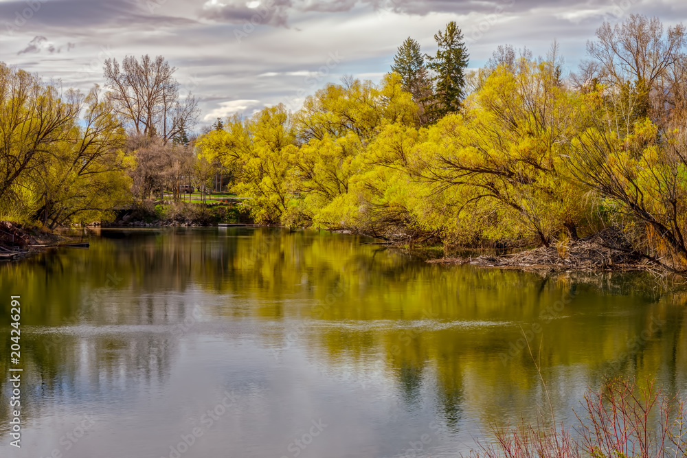Spring colors reflected on slow moving Whitefish River, Montana