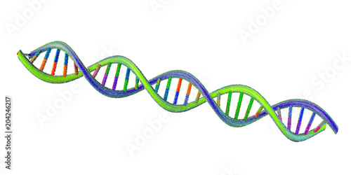 DNA strand. Isolated on whi...