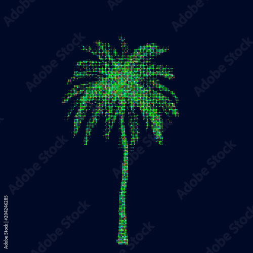 Palm tree. Isolated on dark...