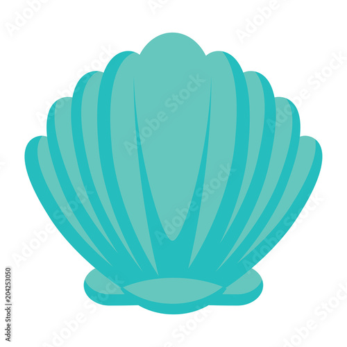 seashell icon over white background, vector illustration
