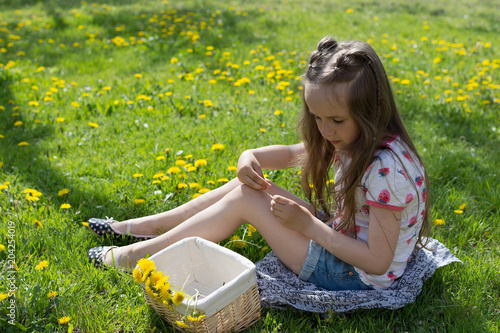 Little girl on dandelion lawn gathering dandelion