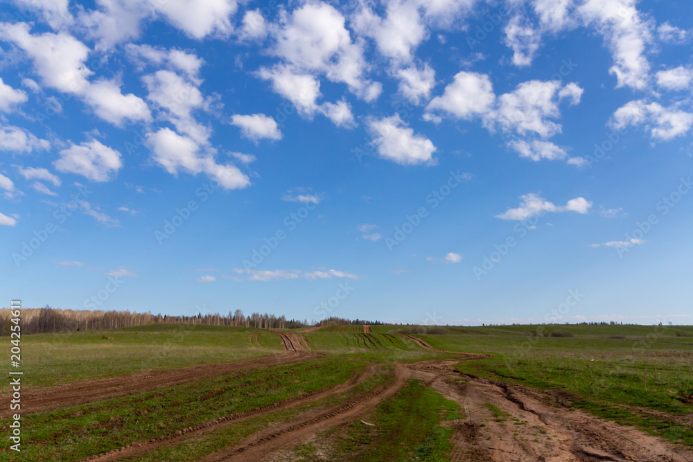 field dirt road goes beyond the horizon and white clouds in the blue sky