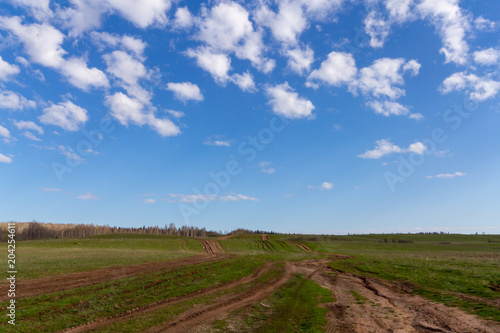 field dirt road goes beyond the horizon and white clouds in the blue sky
