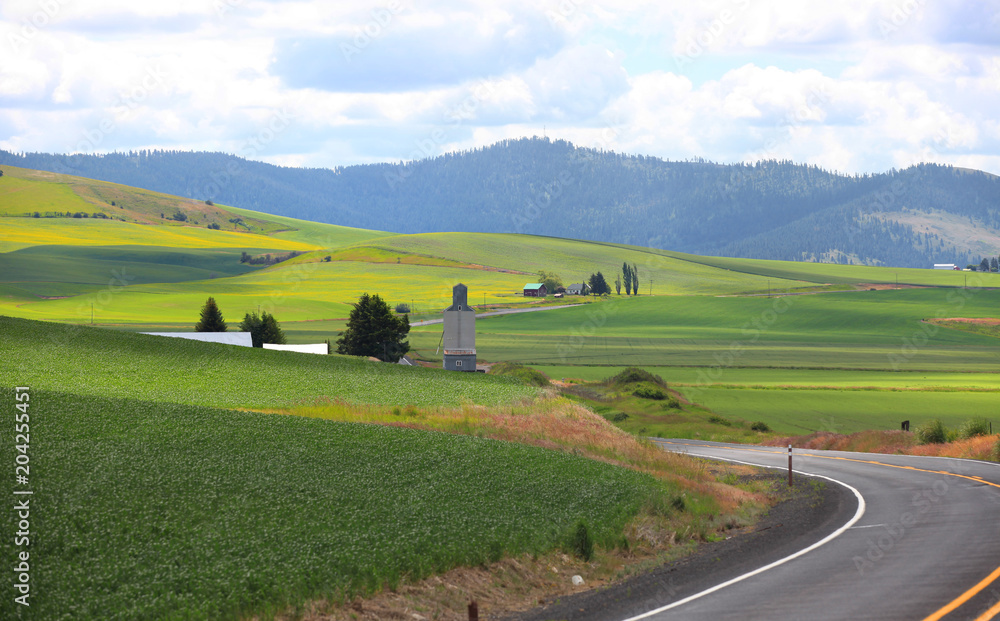 Farm landscape in Palouse, Washington.