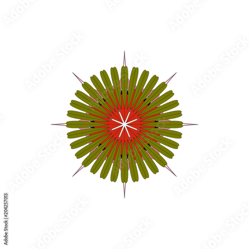 Farbenfrohes Mandala