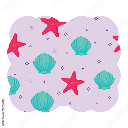 decorative frame with seashells and sea stars pattern over white background, vector illustration