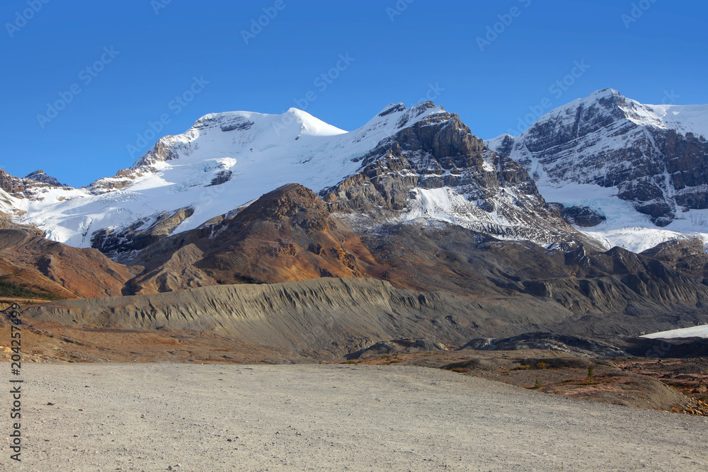 Fototapeta premium Ice fields landscape in Jasper national park