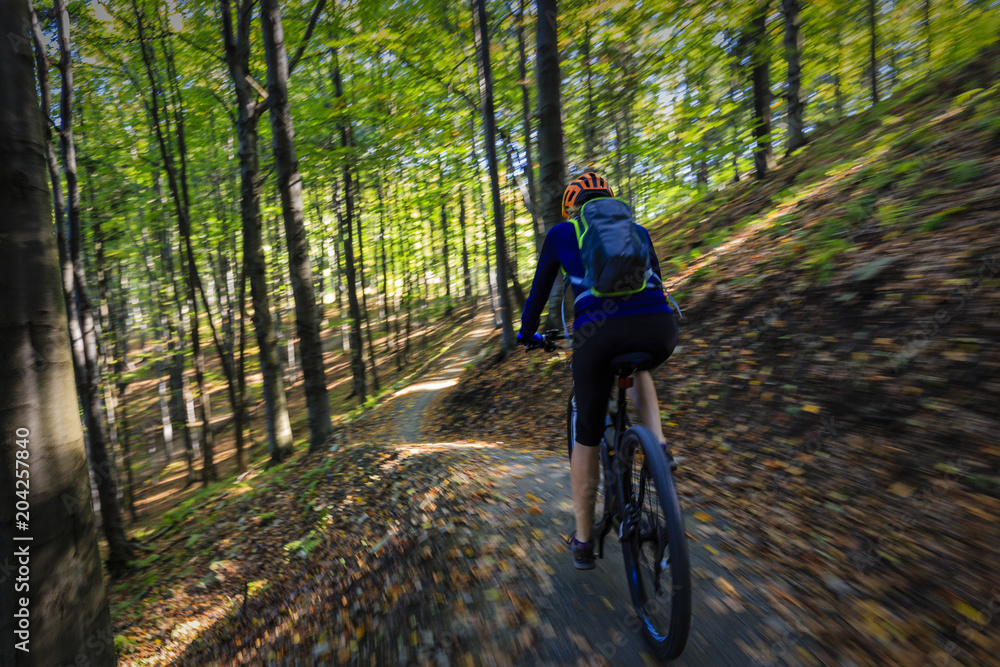 Cycling, mountain biking woman on cycle trail in autumn forest. Mountain biking in autumn landscape forest. Woman cycling MTB flow uphill trail.