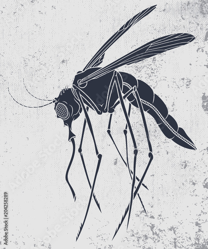 Stencil of a mosquito. Vector illustration of mosquito insect in cartoon style on grunge background. Good for logos, t-shirt prints, posters, stickers, mascots.