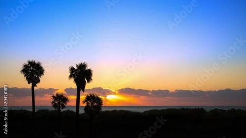 Tropical Florida Seascape Sunrise Timelapse over the Atlantic Ocean with Sun Rays Moving Through Clouds and a Palm Tree Foliage Foreground at Day Break photo