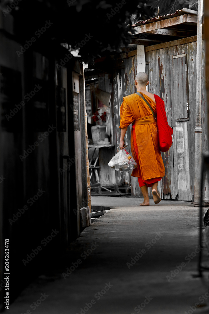 Walking monk