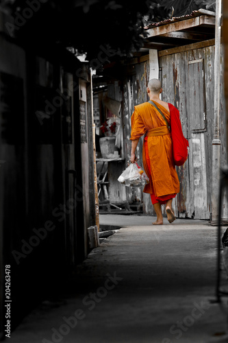 Walking monk