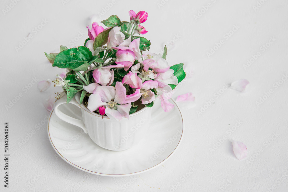 spring blossoming white cups on a table spring blossoming white cups on a table