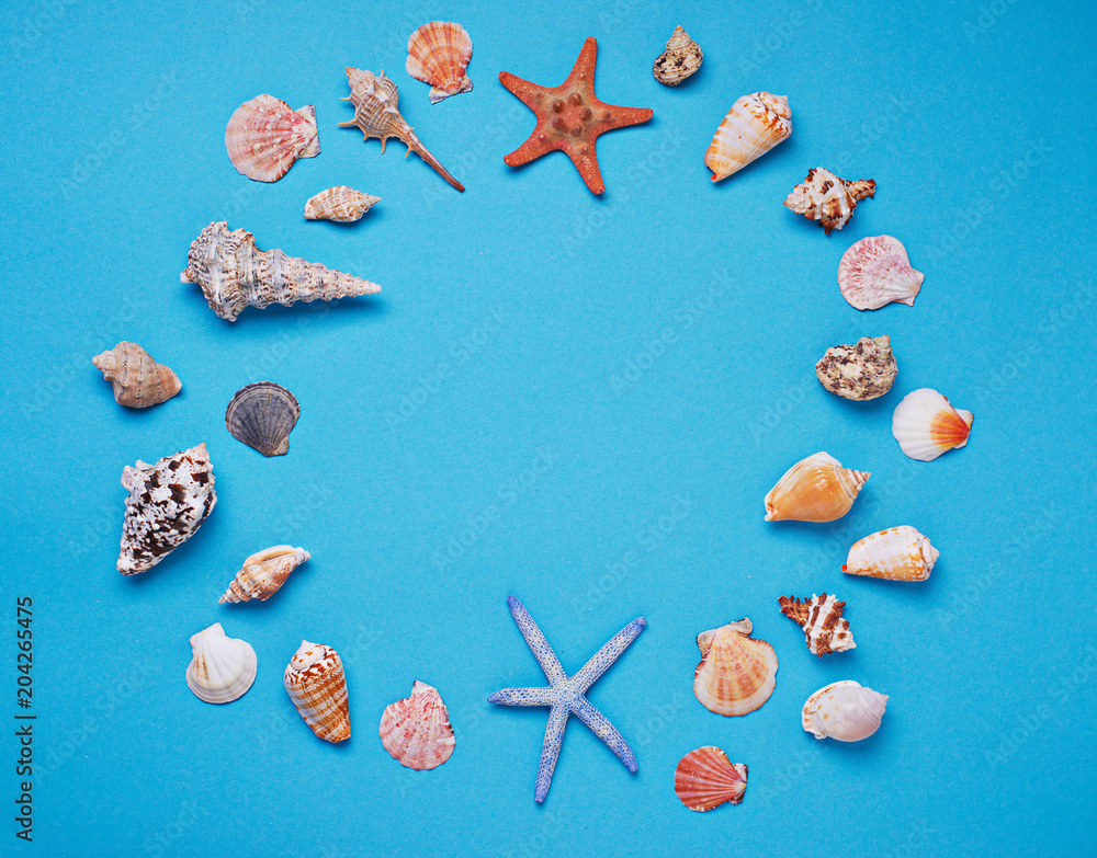 Different seashells on blue background Different seashells on blue background