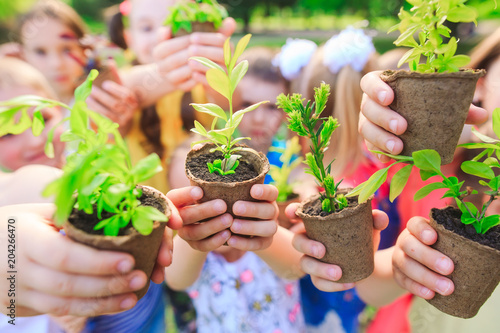 Wallpaper Mural People Hands Cupping Plant Nurture Environmental Torontodigital.ca