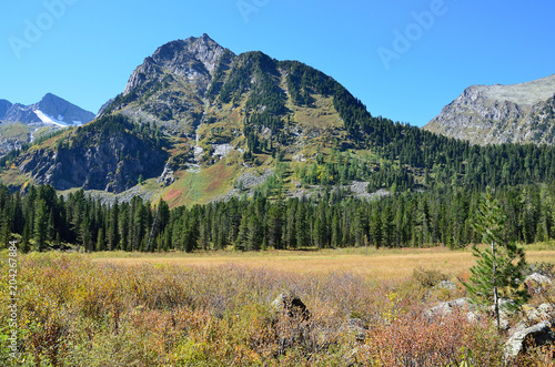 Россия, горный Алтай, долина реки Мульты на участке между Верхним и Средним Мультинскими озерами