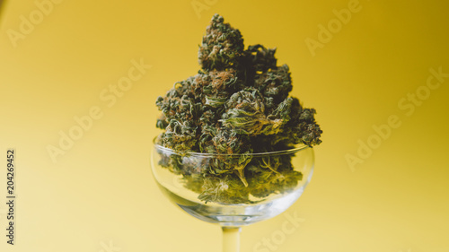 Handful of marijuana - weed close-up. Marijuana buds for sale