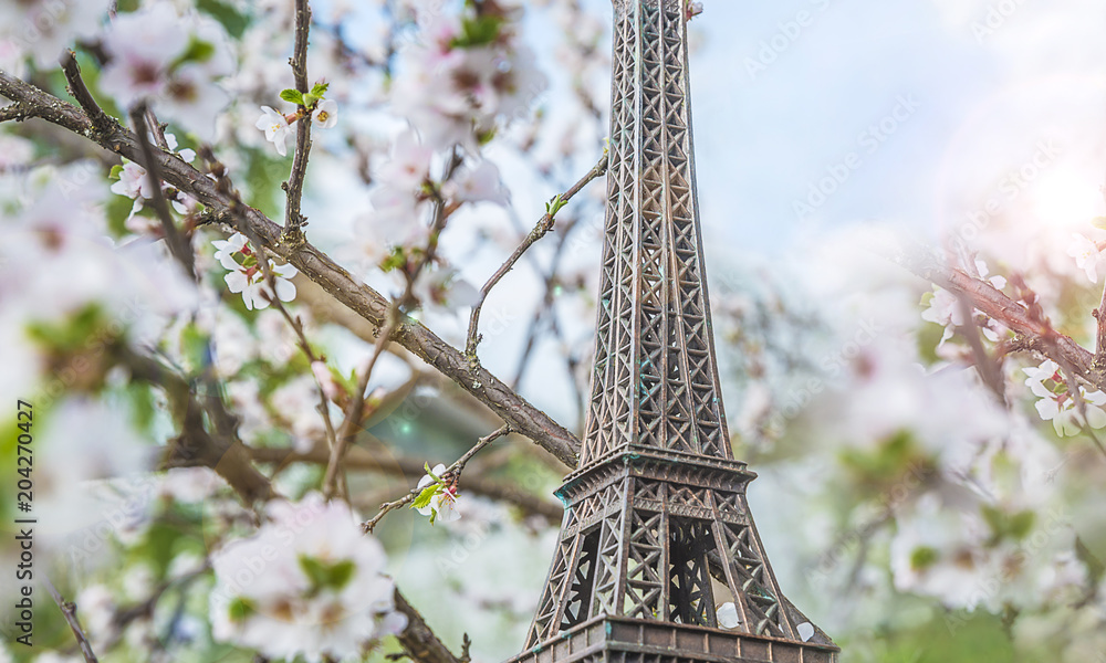 Fotografie Travel destination concept: eiffel tower on blooming cherry tree background