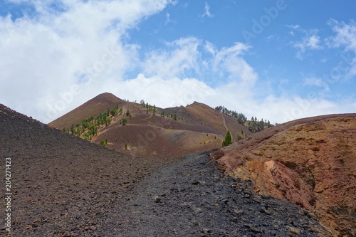 Landscape of a hiking trail GR131 Ruta de los Volcanes with canarian pine trees leading from Fuencaliente to Tazacorte on La Palma, Canary Islands, Spain photo