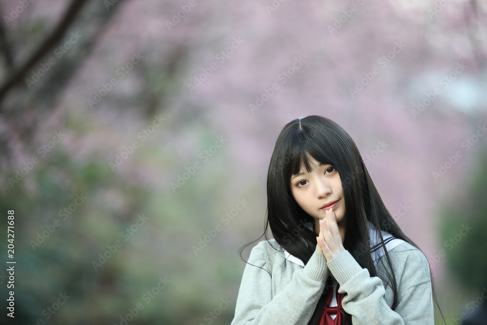 Japanese school girl dress looking sakura flower nature walkway Japanese school girl dress looking sakura flower nature walkway