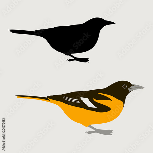 bird oriole vector illustration  flat style black
