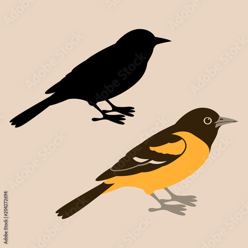 bird oriole vector illustration  flat style  silhouette