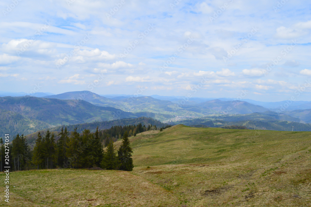 Carpathians forest in May