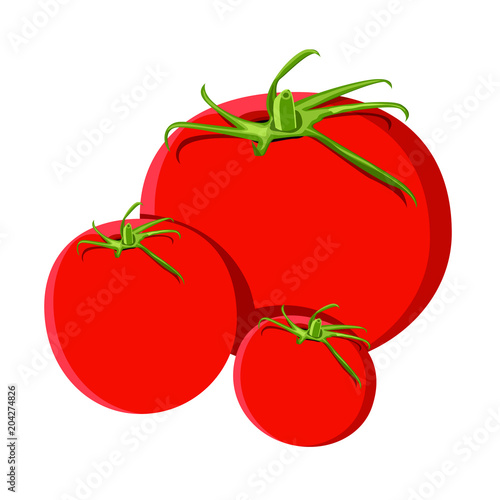 tomato vector design