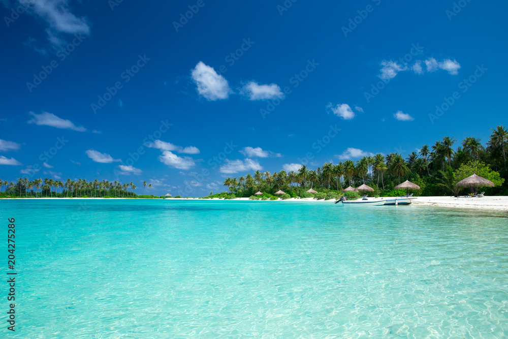 tropical Maldives island with white sandy beach and sea