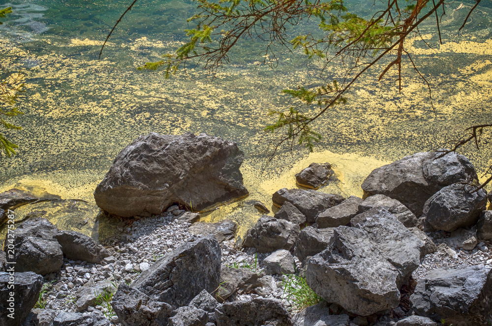 Spring pollen cluster in a water.
Pollen floating in a water, caused by excessive level of accumulation. Spring pollen cluster in a water.
Pollen floating in a water, caused by excessive level of accumulation.