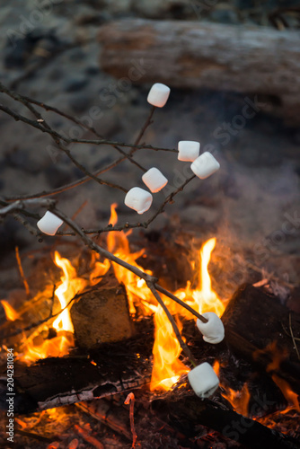 Roasting Marshmallows at Bonfire on the beach