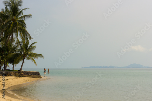 Peaceful beach in Koh Phangan with palm trees, and young couple on paddle board in the background and the island of Koh Samui, in Thailand