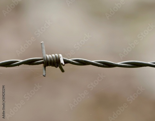 a minimalism wire fence, pointing the way to connection