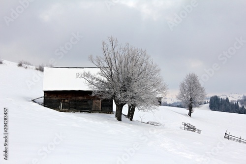 Wood cabin in the mountains - countryside - beautiful village