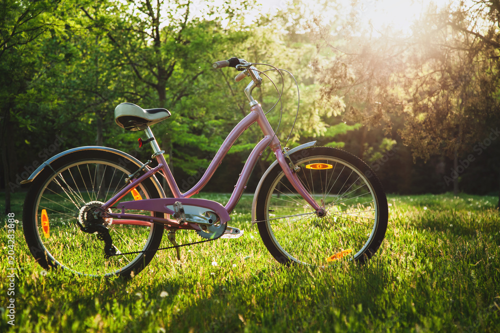 Bicycle on a meadow in the park