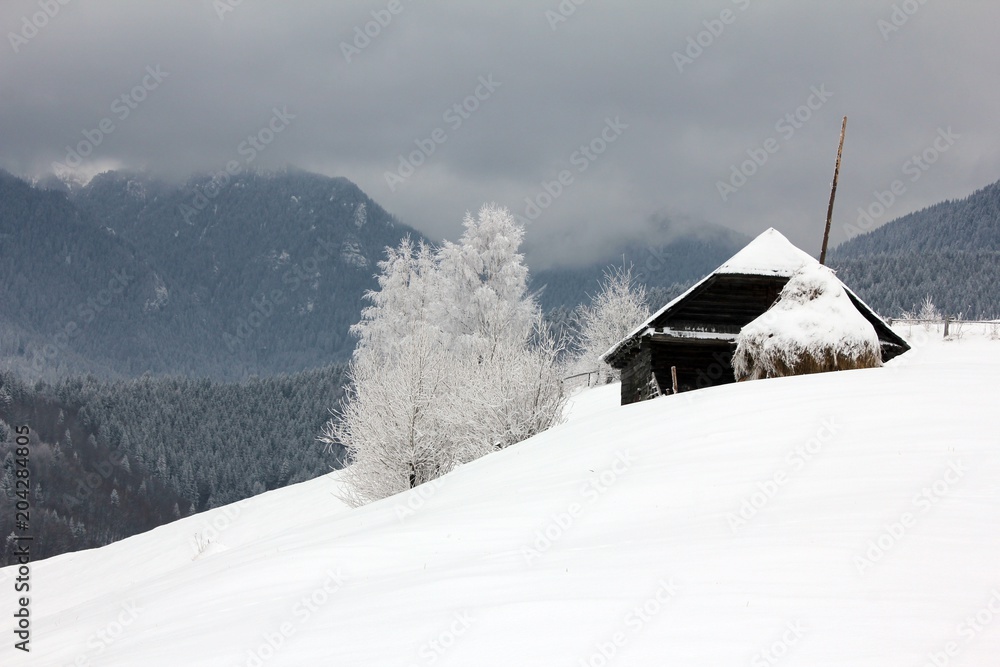 Wood cabin in the mountains - countryside - beautiful village
