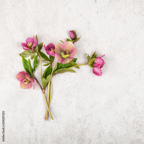 Bouquet of red purple flowers on beige stone vintage background. Top view, flat lay and copy space. Love or vintage concept