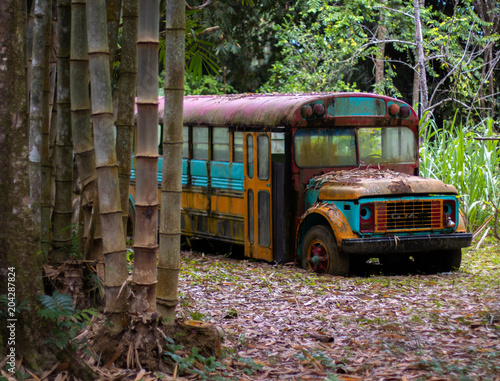 Bamboo bus