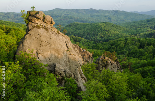Rocks towering over green spring beech forest