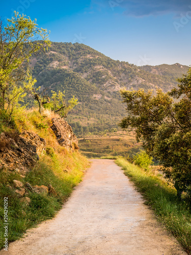 Bilde på lerret Small road in the spanish mountains leading to a wine yard field.