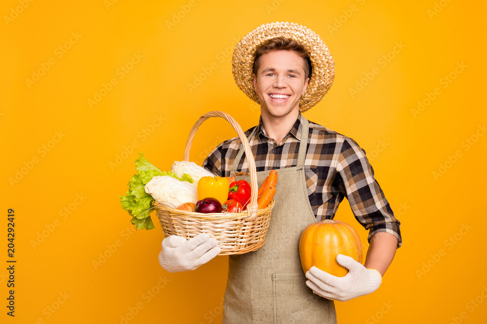 Healthy nutrition healthcare assortment bag crop field festival season crate produce fresh rustic environment people person concept. Portrait of glad farmer with food with hands isolated on background Healthy nutrition healthcare assortment bag crop field festival season crate produce fresh rustic environment people person concept. Portrait of glad farmer with food with hands isolated on background