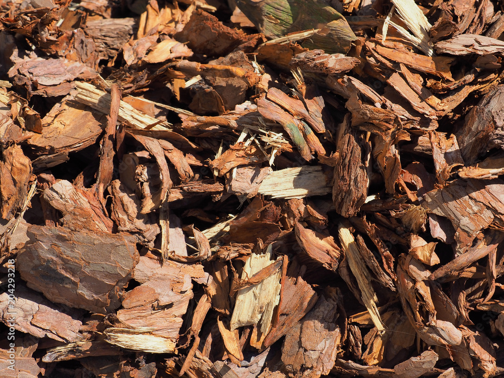 Shredded brown bark background, close-up. Wood mulch chips from pine bark. Garden decorative and landscape works