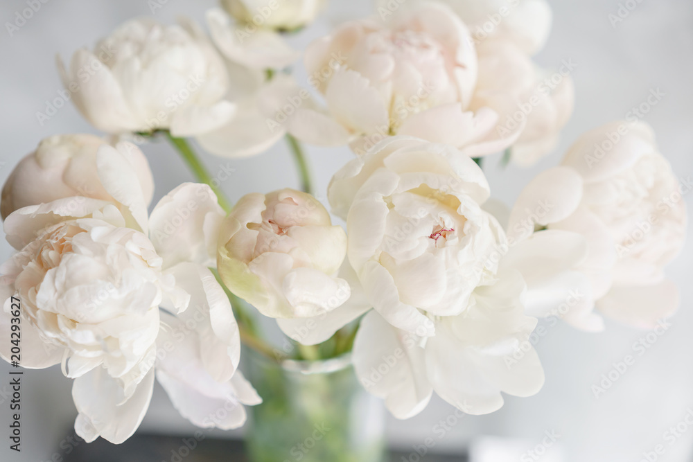 Lovely flowers in glass vase. Beautiful bouquet of white peonies . Floral composition, daylight. Summer wallpaper Lovely flowers in glass vase. Beautiful bouquet of white peonies . Floral composition, daylight. Summer wallpaper