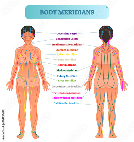 Body meridian system vector illustration scheme, Chinese energy acupuncture therapy diagram chart.