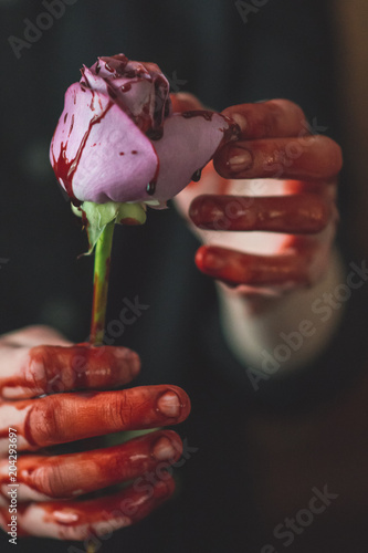 He Loves Me, He loves Me Not 