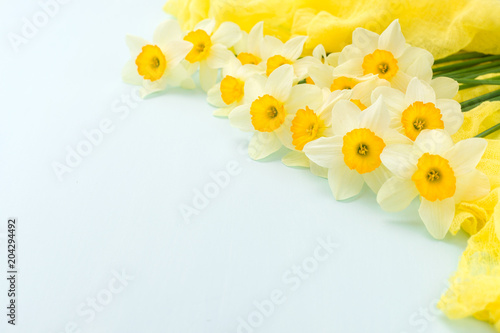 Fototapeta Naklejka Na Ścianę i Meble -  Daffodil spring flowers with yellow textile decoration on blue pastel background with copy space.