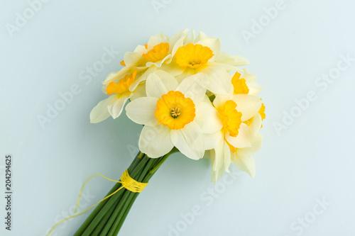 Fototapeta Naklejka Na Ścianę i Meble -  Spring flowers daffodil bouquet - white narcissus on blue pastel background.